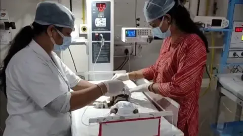 Newborn Placed Living in the Country Struggles for Survival