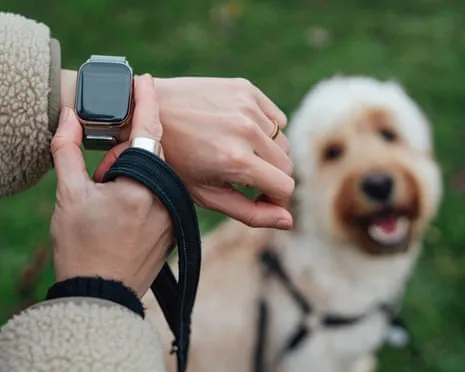 The Reality Regarding Wearable Tech? Daily Existence Is Better Devoid of a Nagging Device on Your Wristwear